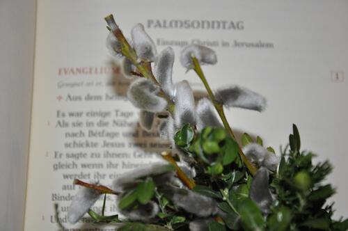 Pfarrbriefservice.de/Christine Limmer